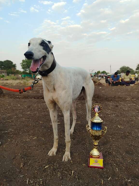 Rudra9500's Profile Pic