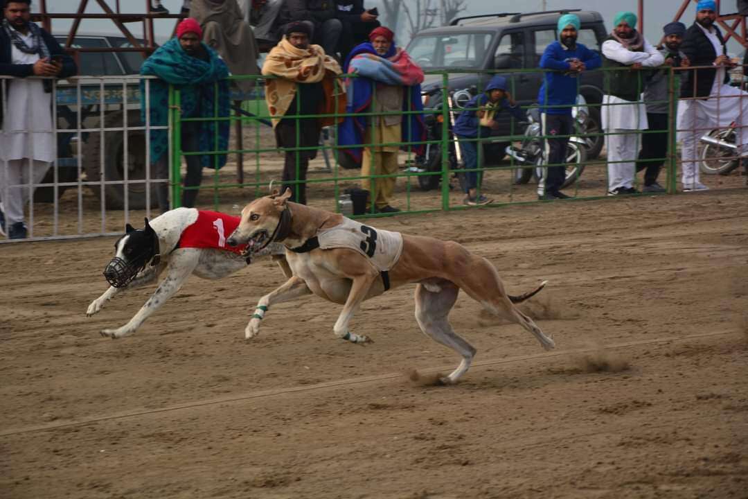 Jugti lal 's Profile Pic