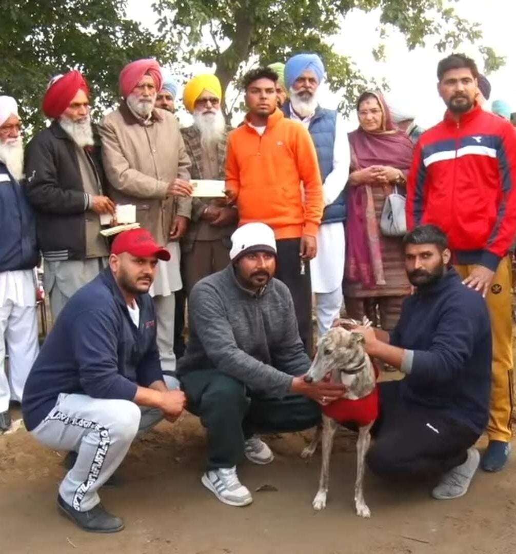 Mafi myajik 's Profile Pic